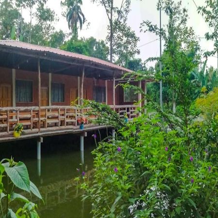 Yaku Wasi Lodge Puerto Misahuallí Εξωτερικό φωτογραφία